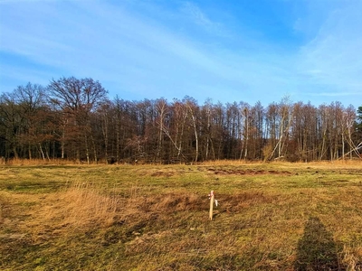 działka na sprzedaż Dobra (Szczecińska) Grzepnica