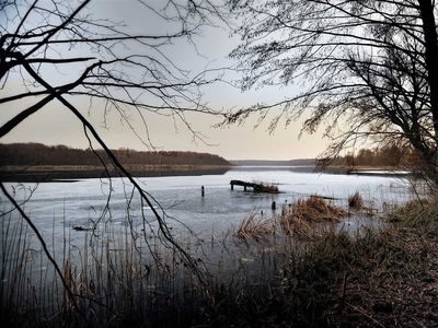 działka na sprzedaż Ińsko (gw) Miałka