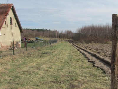 Działka nad jeziorem w pobliżu Bierzwnika 20 tys