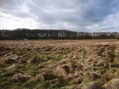 DZIAŁKA ROLNA 6,5 HA, KĄTY, IDEALNA POD INWESTYCJE