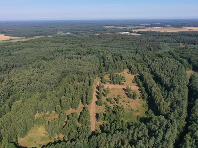 Działki budowlane w otulinie lasu