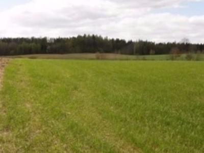 Goleniów 2km Działka bud. media warunki zabudowy