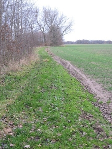 Kamień Pomorski 8km Działka duża