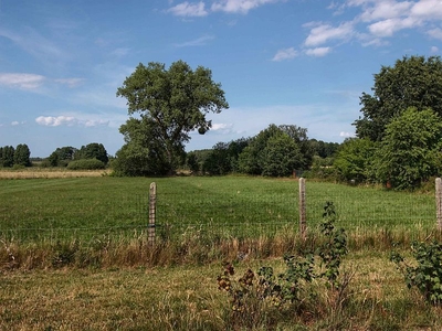 Malowniczo położone działki nad Zalewem