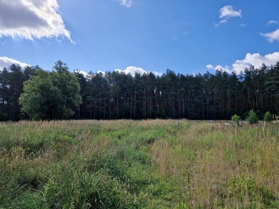 Najładniejsza działka ze ścianą LASU WOŁCZKOWO