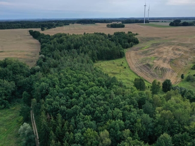 Nieruchomość gruntowa w Prusinowie (gmina Łobez)