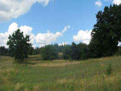 Działka z warunkami zabudowy Trąbki Wielkie