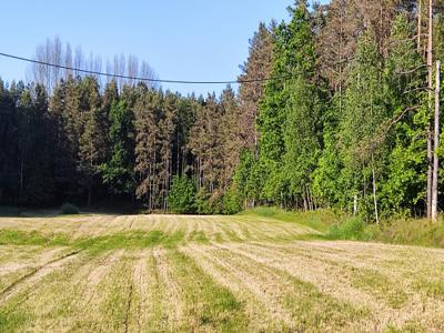 Pomieczyno - działka budowlana