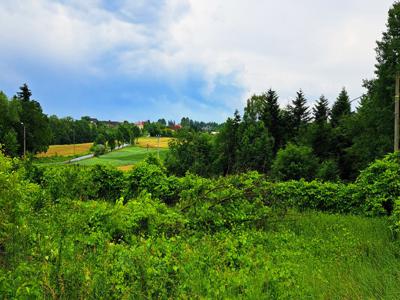 Tarnowski, Tuchów, Jodłówka Tuchowska