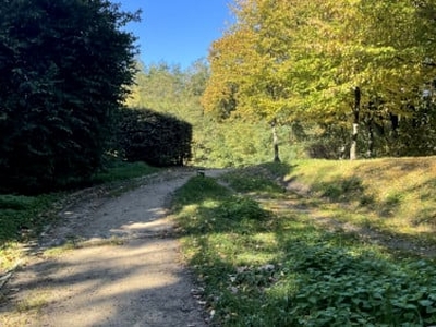 Mieszkanie, ul. Obrońców Westerplatte