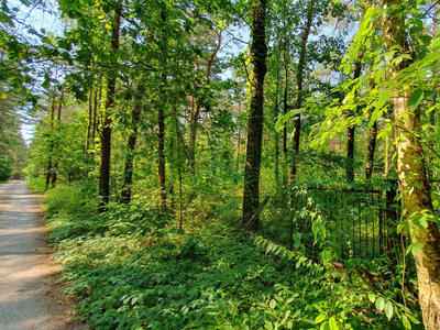 Otwocki, Wiązowna, Emów