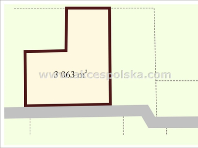 Piaseczyński, Prażmów, Puszczyka