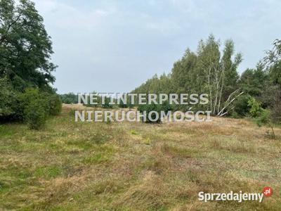 Oferta sprzedaży działki 23928m2 Teodorów