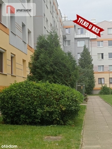 Trzebnicka 2 pok, 40m2 meble,wyposaż. BEZ PROWIZJI