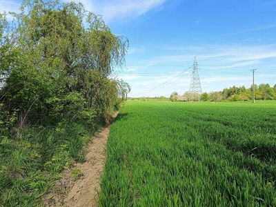 Działka budowlana 2 km od Zamościa, Chyża Kolonia