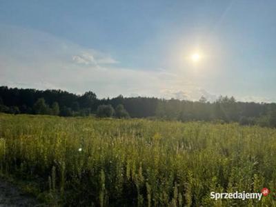 Działka budowlana położona blisko lasu.