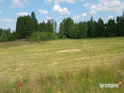 Działka z warunkami zabudowy 1000m Skrybicze