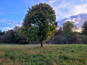 Działka rolno-budowlana Spręcowo