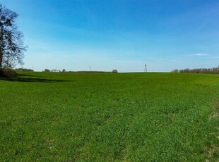 Działka budowlana Przezmark gm. Stary Dzierzgoń