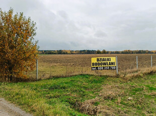 podlaskie, zambrowski, Kołaki Kościelne, Kołaki Kościelne, 11 Listopada