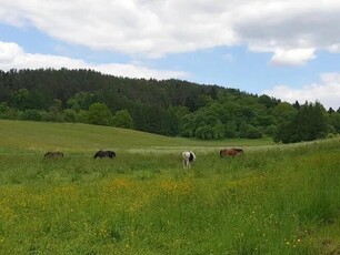 Sprzedam BEZPOŚREDNIO dwie piękne działki budowlane w miejsc