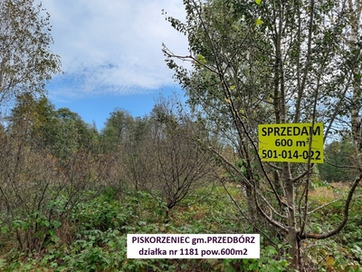 Działka inna Piskorzeniec