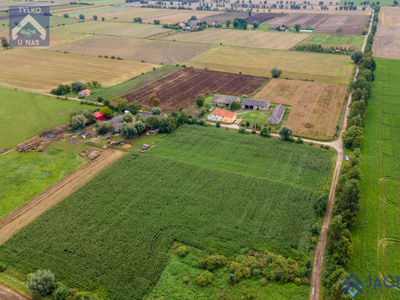 Działka (Rolna) - Krzywe Koło