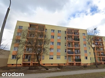 Apartament - 2 pokoje - 51,27 m2 - Miła Resort