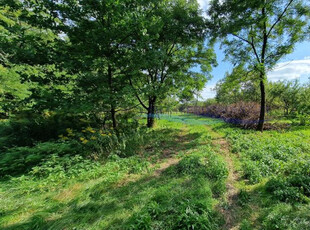 Grodziski, Grodzisk Mazowiecki, Książenice, Sadowa