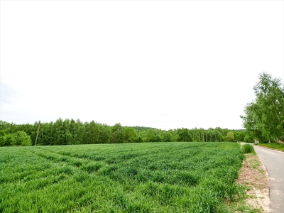 Działka na sprzedaż, łańcucki, Cierpisz