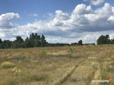 Górzno ul. Akacjowa. Działka Budowlana