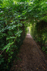 Brzozowy Park – przestrzeń, cisza, bezpieczeństwo