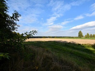 Działka budowlana Borkowice gm. Dłutów,