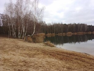 Działka budowlana Lisiewice Duże gm. Domaniewice,