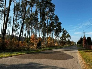 Działka leśna w miejscowości Błędnica, 9,4 ha