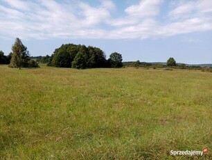 Działka rolna 2,62 ha w m. Siecie, graniczy z drogą gminną, rzeką i mostem.