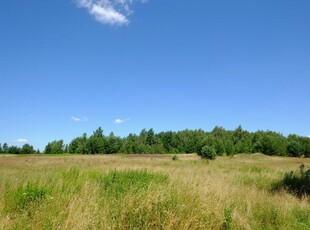 Działka siedliskowa Kampinos,