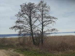 Działka Zdory , Jezioro Śniardwy szlak wielkich jezior