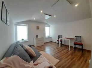 Modrzejowska 89,kawalerka,30m2,pet friendly