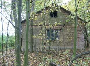 Siedlisko (działka z zabudową) 20a Wola Duża Kol.