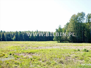 Sprzedam grunt Buda Ruska 8000m2