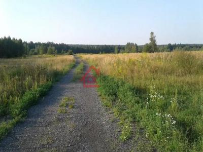 Działka budowlana Ćmińsk gm. Miedziana Góra, Kobylaki