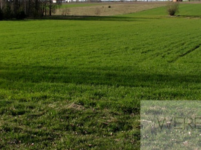 Budynek użytkowy Juchnowiec Kościelny