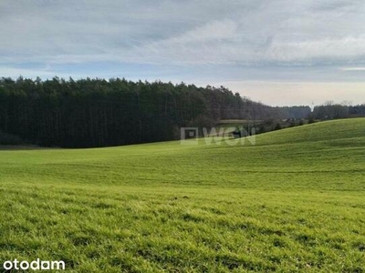 Działka, 2 475 m², Gaj-Grzmięca