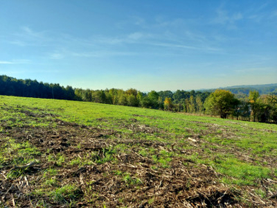 Działka budowlana Cieszyn