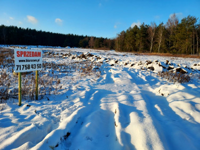 Działka budowlana Grodzanów