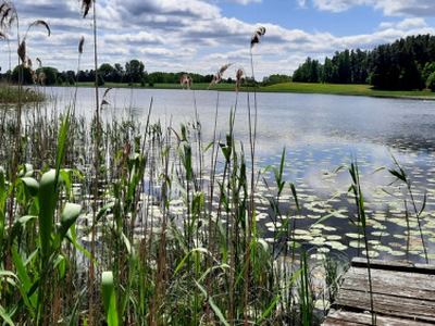 Działka budowlana Głuszyn