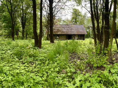 Działka budowlana Radwanowice