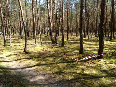 Działka budowlana, ul. Jelonka