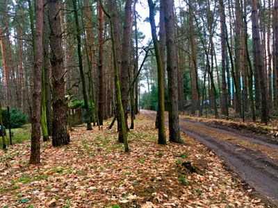 Działka budowlana, ul. Spacerowa